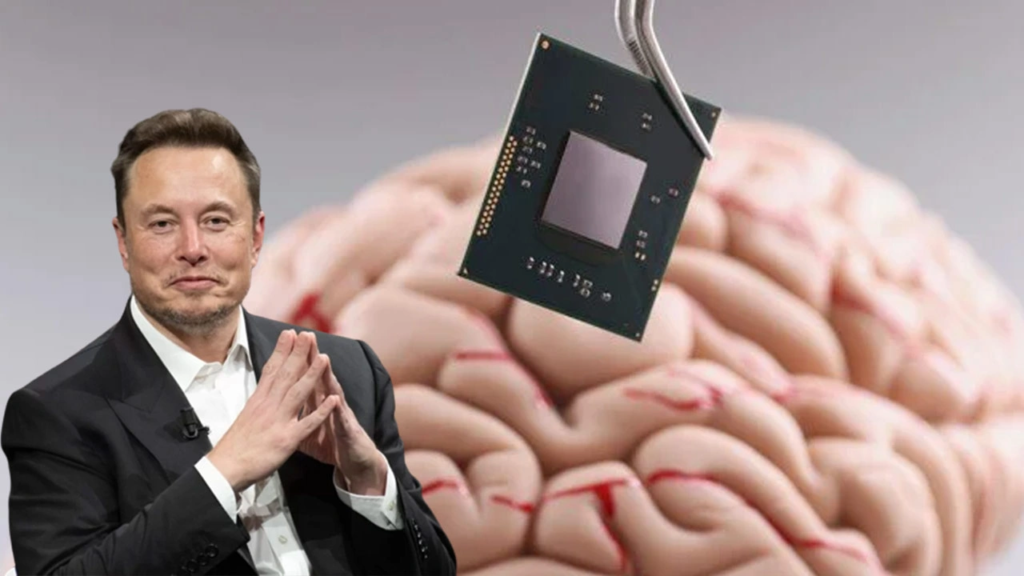 Rencana Pabrik Chip Elon Musk Dikomentari CEO NVIDIA